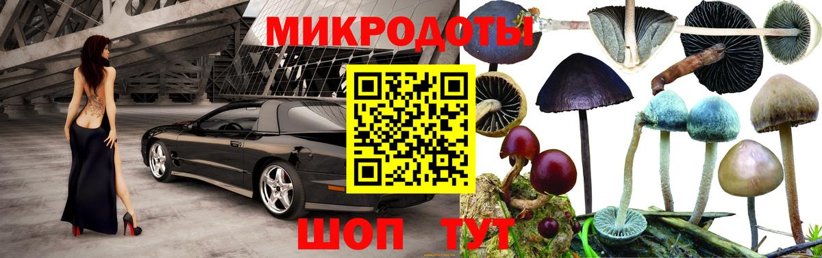 Казань  Псилоцибиновые грибы Cubensis  Вход с VPN 